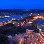 千光寺公園夜桜