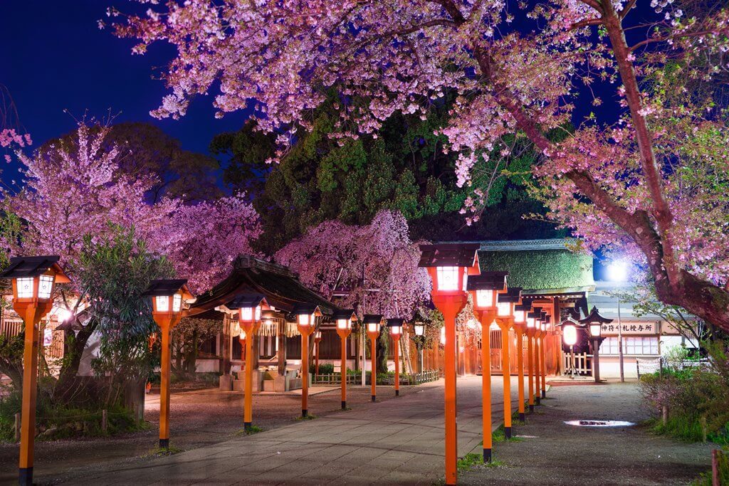 京都市内を車でドライブ おすすめ夜桜ライトアップスポットは 車情報ラウンジ Young Amg