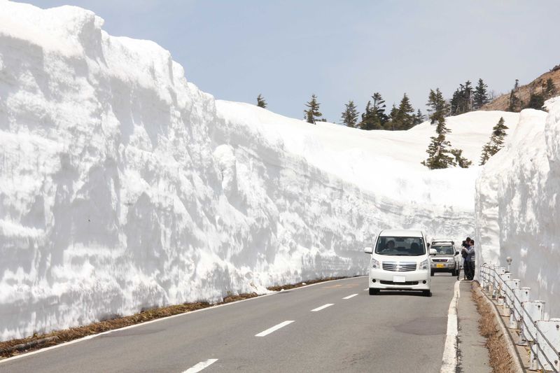 志賀草津高原ルートの雪の回廊